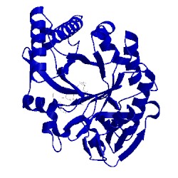 Image of CATH 1hkm