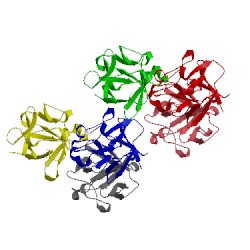 Image of CATH 1hkn