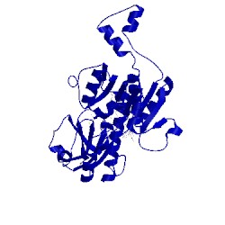 Image of CATH 1hku