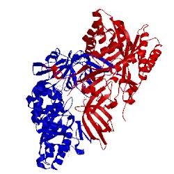 Image of CATH 1hkw