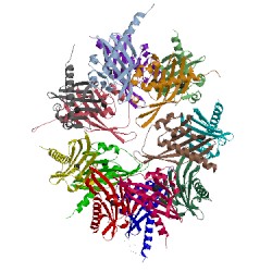 Image of CATH 1hkx