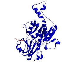 Image of CATH 1hl3