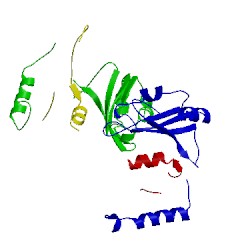 Image of CATH 1hl6