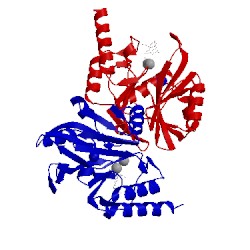 Image of CATH 1hlk