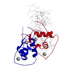 Image of CATH 1hlz