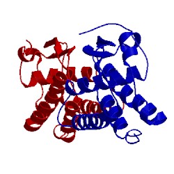 Image of CATH 1hmc