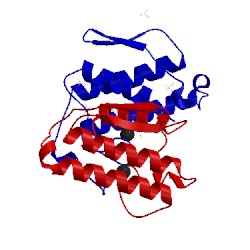 Image of CATH 1hn4