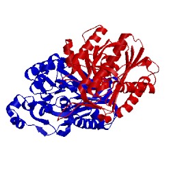 Image of CATH 1hn9