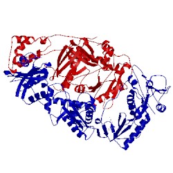 Image of CATH 1hni