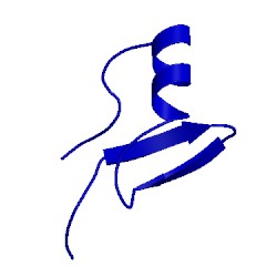 Image of CATH 1hnr