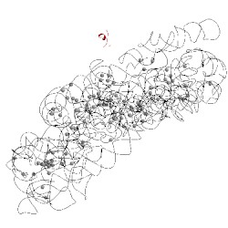 Image of CATH 1hnw