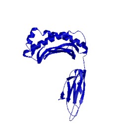 Image of CATH 1hoc