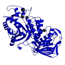 Image of CATH 1hp4