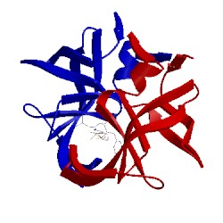 Image of CATH 1hpv