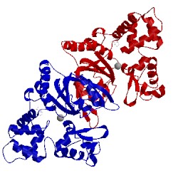Image of CATH 1hqc