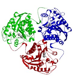 Image of CATH 1hqf