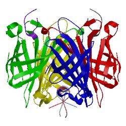 Image of CATH 1hqq
