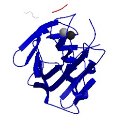 Image of CATH 1hqw