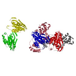 Image of CATH 1hqy