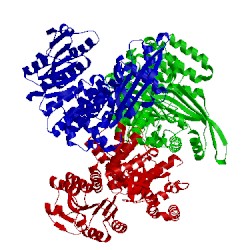 Image of CATH 1hrd