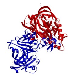 Image of CATH 1hrn