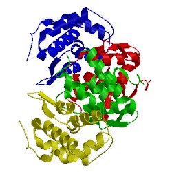 Image of CATH 1hss