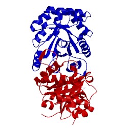 Image of CATH 1hti