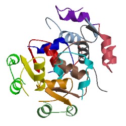 Image of CATH 1htv