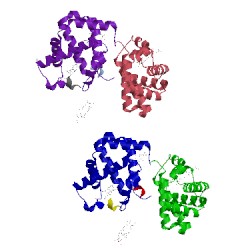 Image of CATH 1hv4