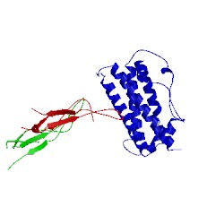 Image of CATH 1hwg