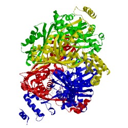 Image of CATH 1hwi