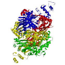 Image of CATH 1hwj