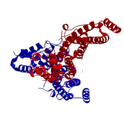 Image of CATH 1hx8