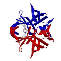 Image of CATH 1hxb