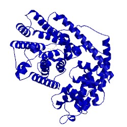 Image of CATH 1hxc