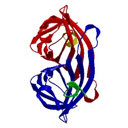 Image of CATH 1hxl