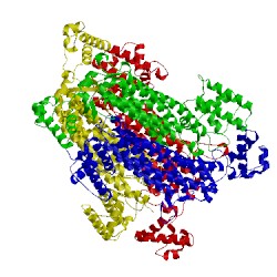 Image of CATH 1hy1