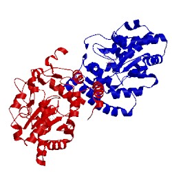 Image of CATH 1hy3