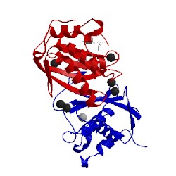 Image of CATH 1hy7