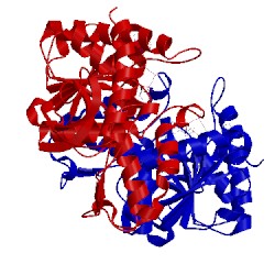 Image of CATH 1hyg