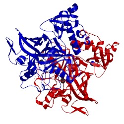 Image of CATH 1hyo