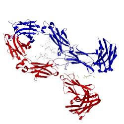 Image of CATH 1hzh