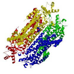 Image of CATH 1i0a