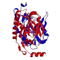 Image of CATH 1i0i