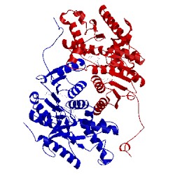 Image of CATH 1i0z