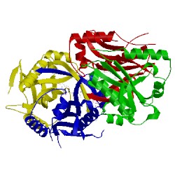 Image of CATH 1i1d