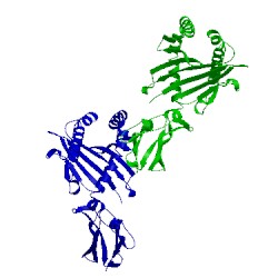 Image of CATH 1i1y