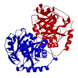 Image of CATH 1i4n