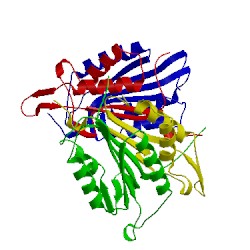 Image of CATH 1i51