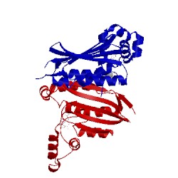 Image of CATH 1i59